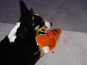 I\'ve got spirit yes I do, I\'ve got spirit how bout you?