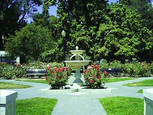 The rose garden in Capital park