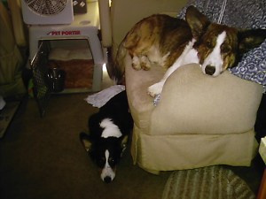 coronado-kc-003 Hanging out in the RV