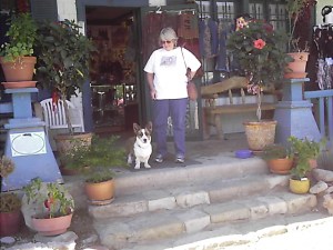 Polly and Pippin Shopping