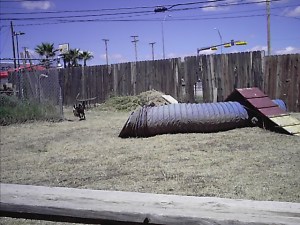 Notice the large pile of weeds in the background