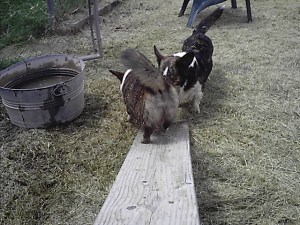 Going down? Going Up?