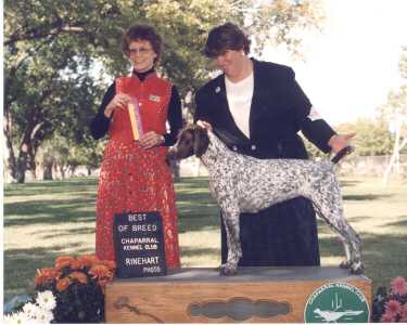 Windy, Best of Breed