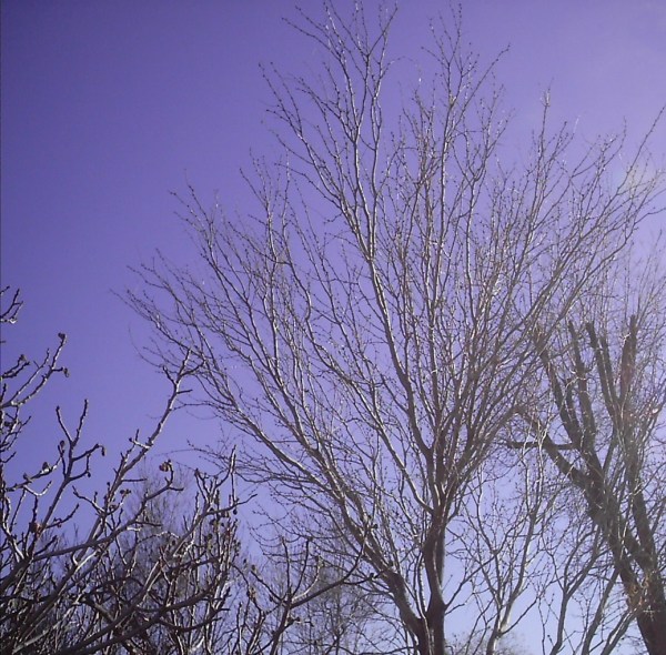 skywatch-109-001 skywatch-109-001