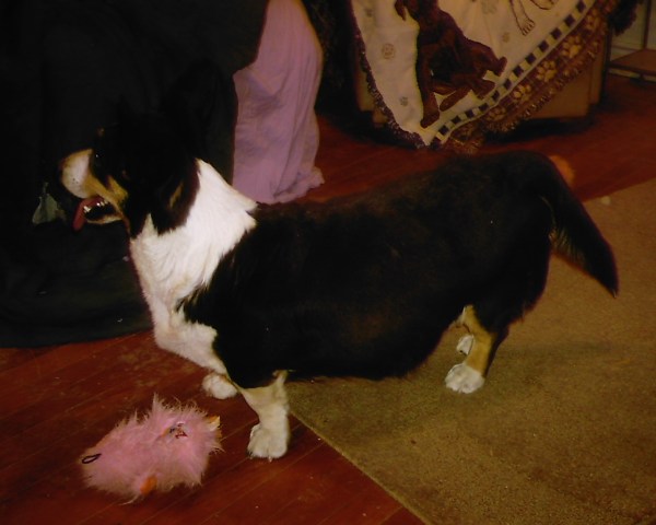 bad-puppy-and-mommy-022