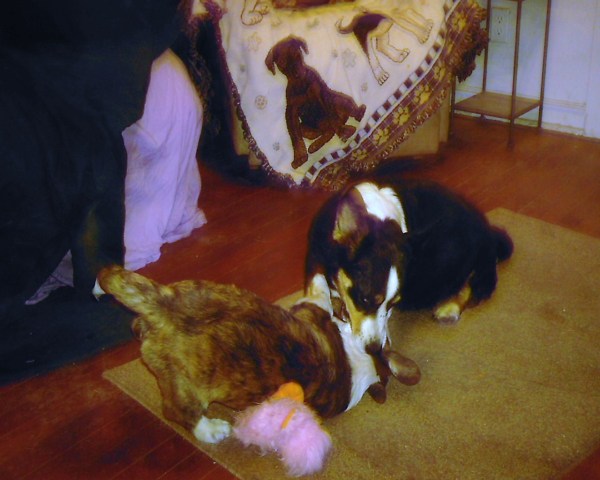 bad-puppy-and-mommy-0251