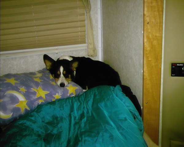 Lindy making herself at home