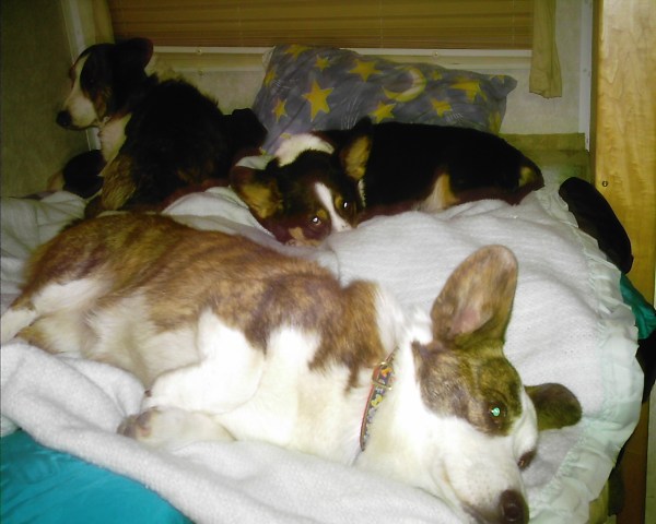 Whose bed is it anyway