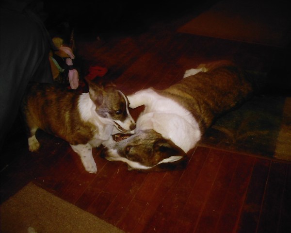 stoney-and-frost-001