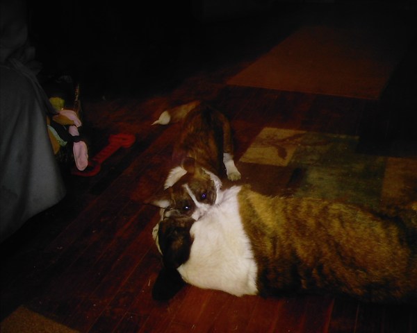 stoney-and-frost-002