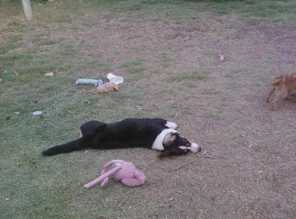 Lindy at watermelon Lindy says, I can't believe I ate the whole thing!