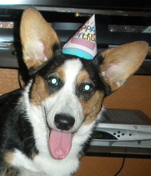 birthday party 009 Charlie!