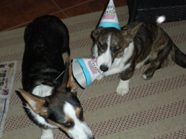 birthday party 014 birthday party 014