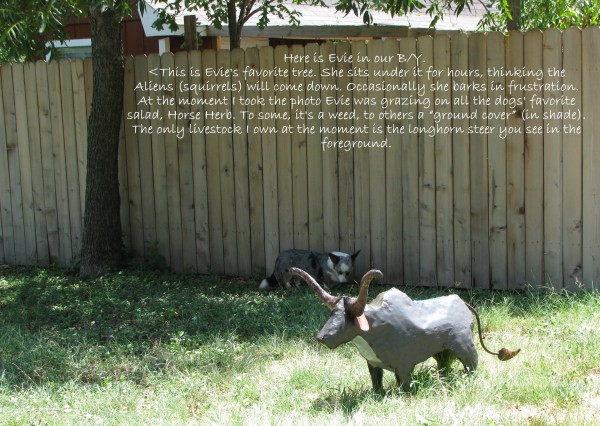 E B - B Y 8-8-09 E B - B Y 8-8-09