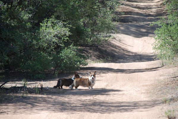Sisters -Bailey and Frost