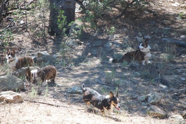 Hiking with Ranger 078