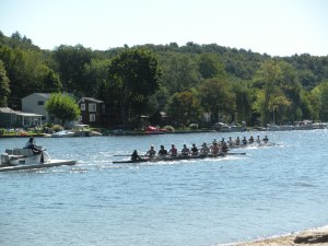 Watching Crew from the dog show