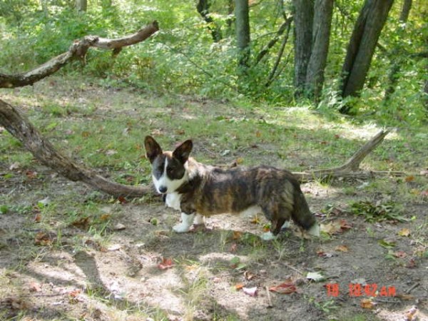 Zippy sept Zippy sept