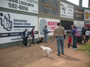 dog walk and garden 014