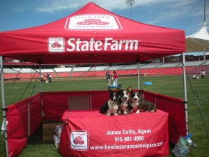 State Farm Marketing