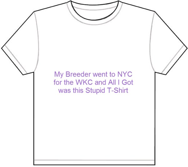 basic_tshirt_template