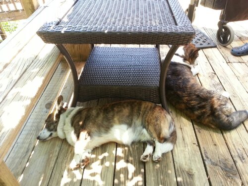 20130615_125033.jpg image