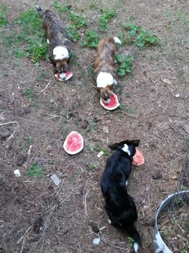 20130616_201407.jpg image