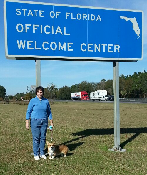 20131213_105958-1.jpg image