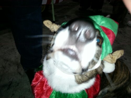 20131214_125417.jpg image