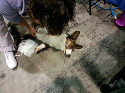 20131214_142107.jpg image