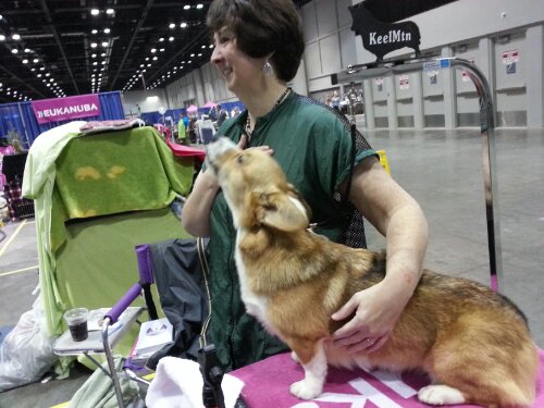 20131215_080004.jpg image