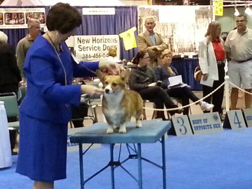 20131215_093305.jpg image