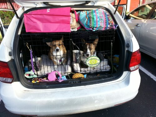 20131216_084942.jpg image