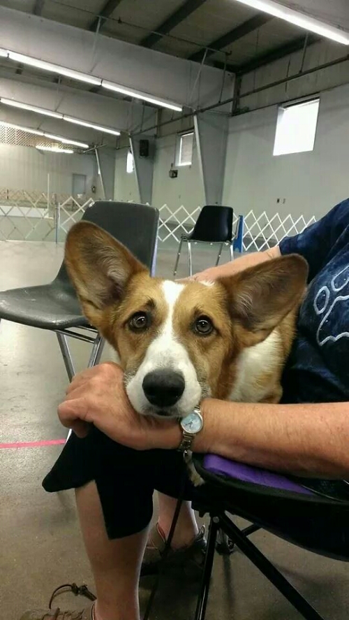 IMG_52411235165130.jpeg image