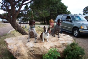 WIndy, Stoney and Wicca at the Grand Canyon