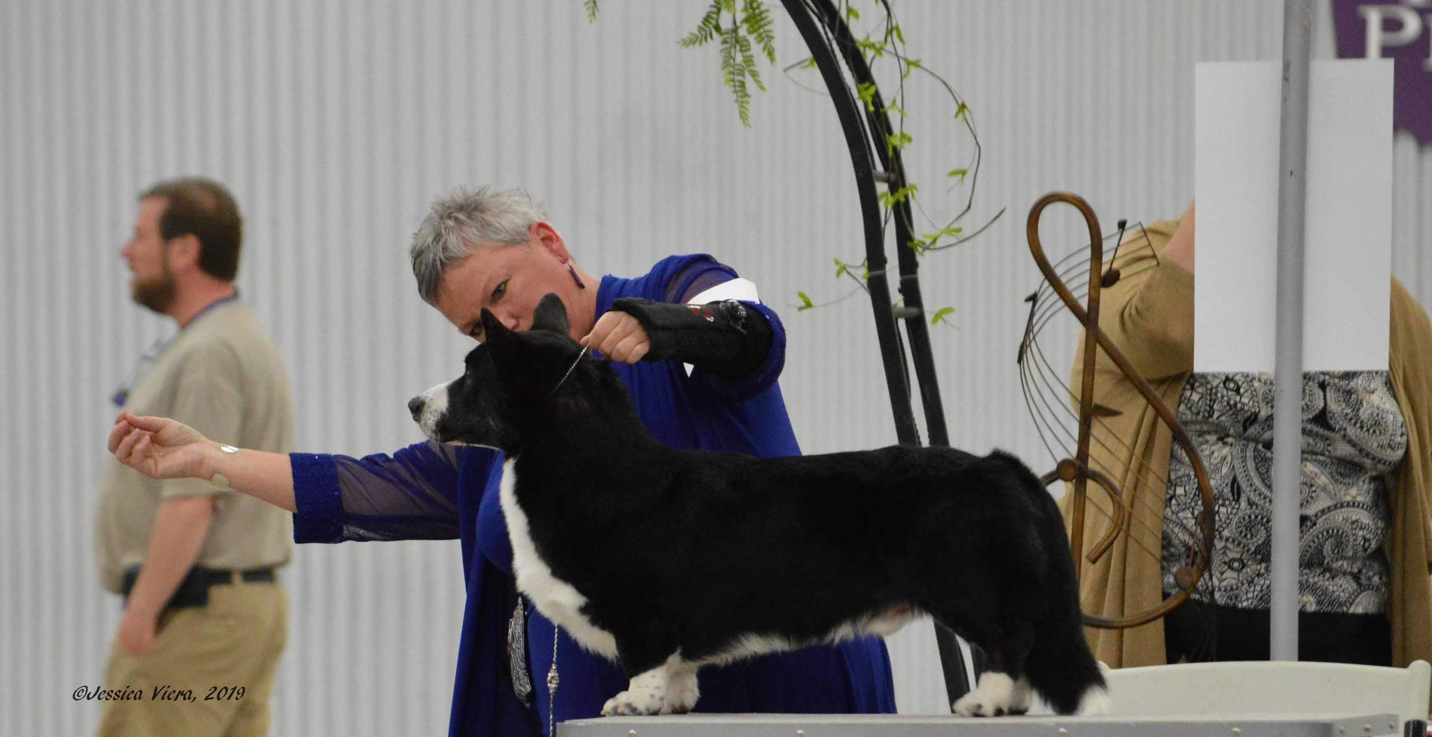 81403253-cwcca2019megan10