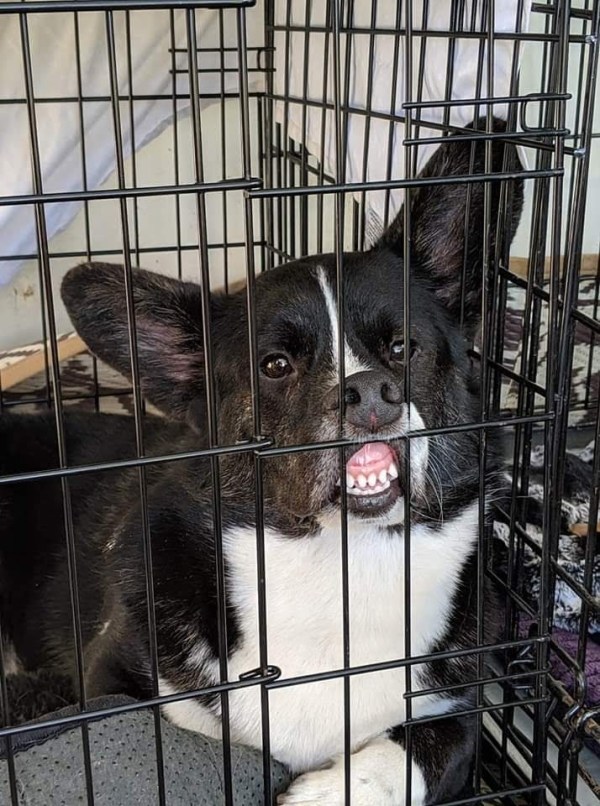 fb_img_1569810493222