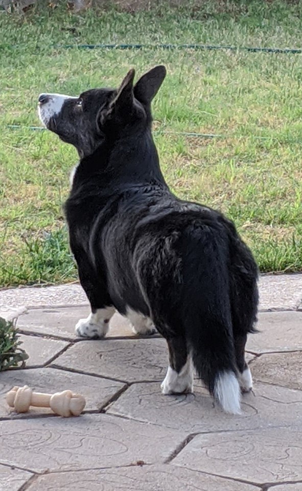 117606141_300509687883492_7627442950542176119_n