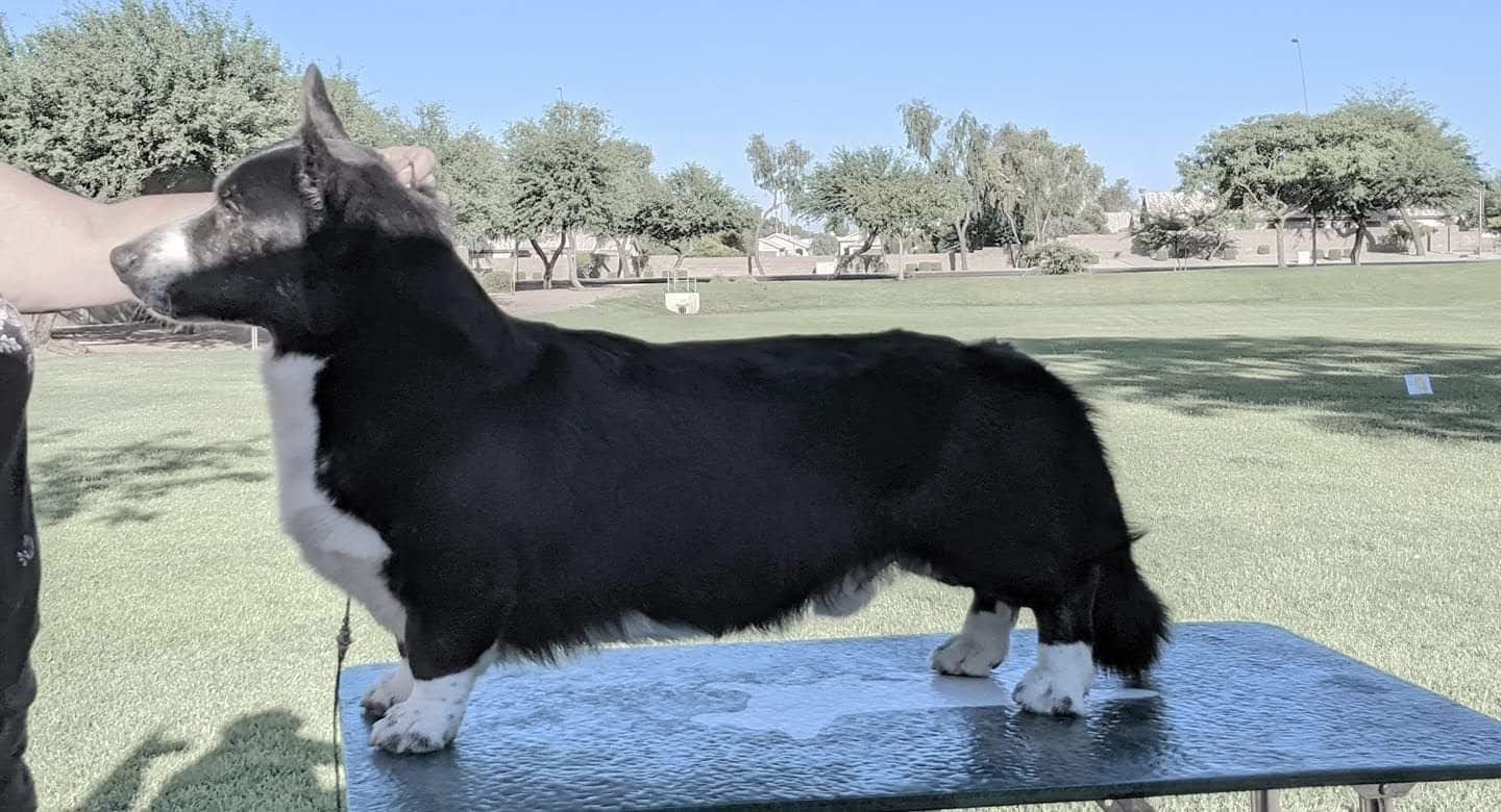 fb_img_1594564343236